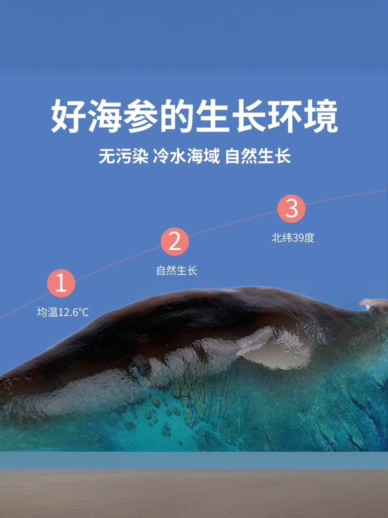文章插图
