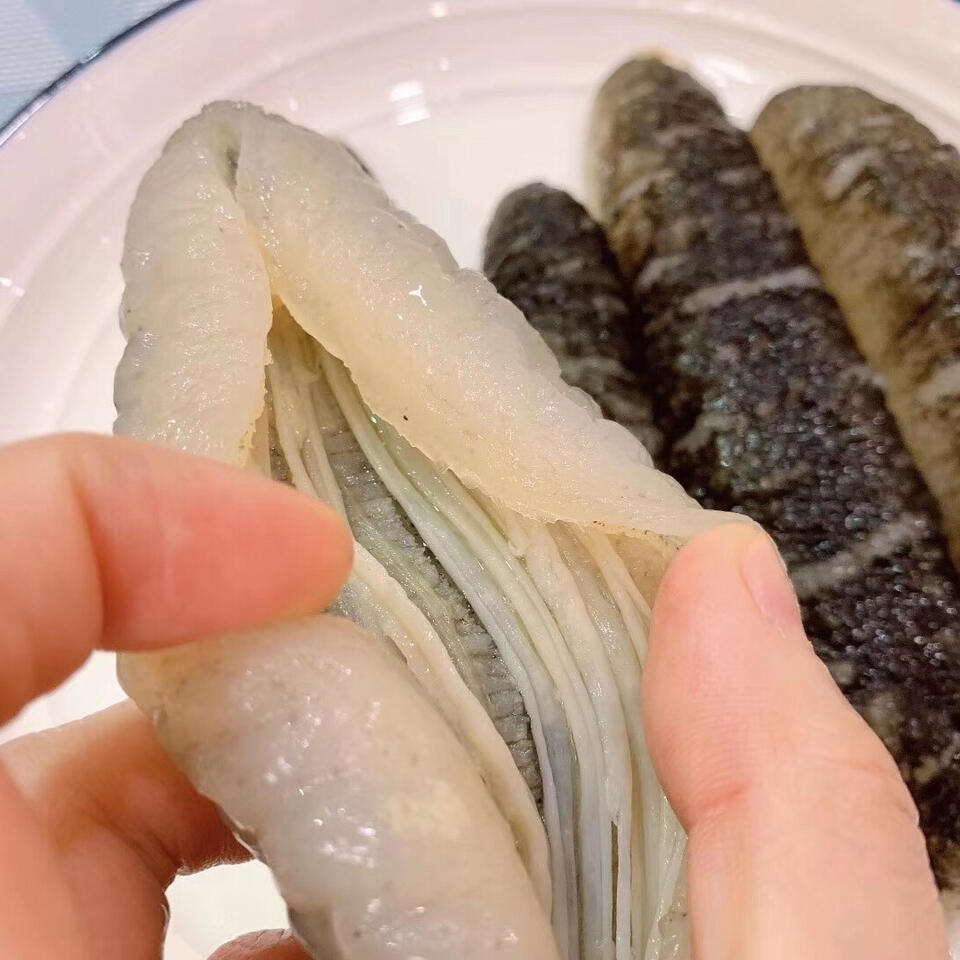 文章插图