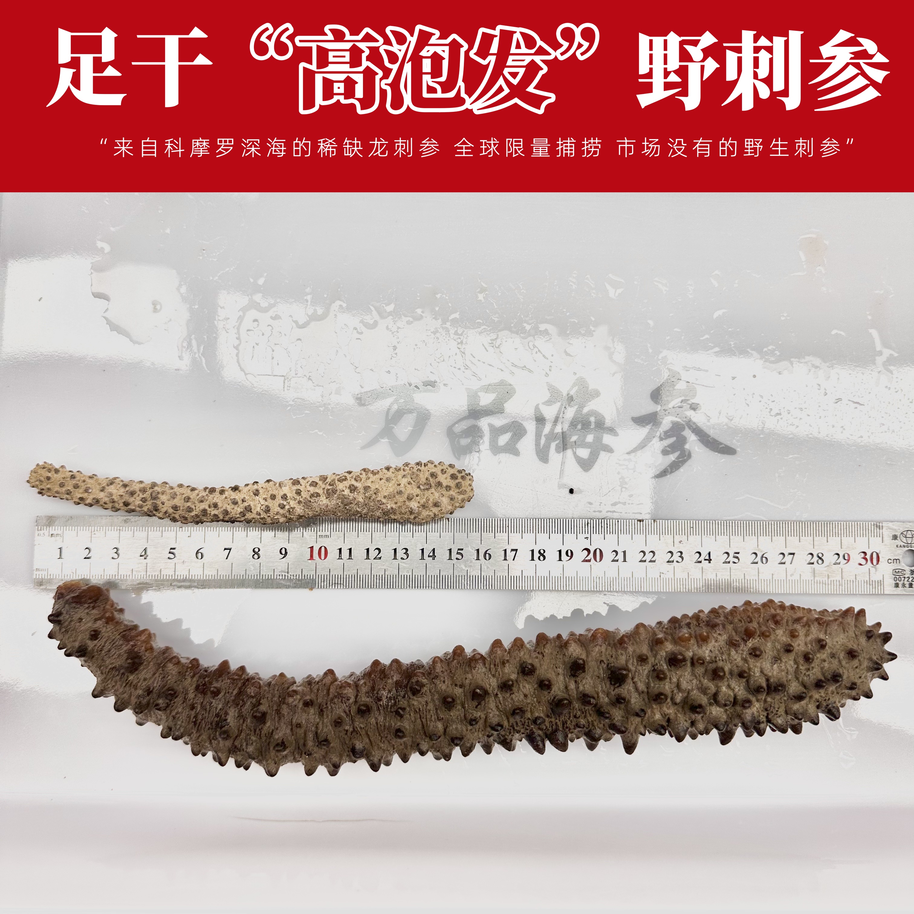 文章插图